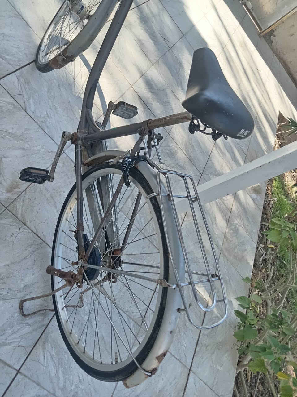 باسكل للبيع حجم 26 كلش ما عوزه سعر خاص شراي. بي خير ويدلل


**إذا كنت صاحب هذا الإعلان وتريد حذفه لأي سبب، رجاءا أرسل رسالة إلى الدعم الفني**