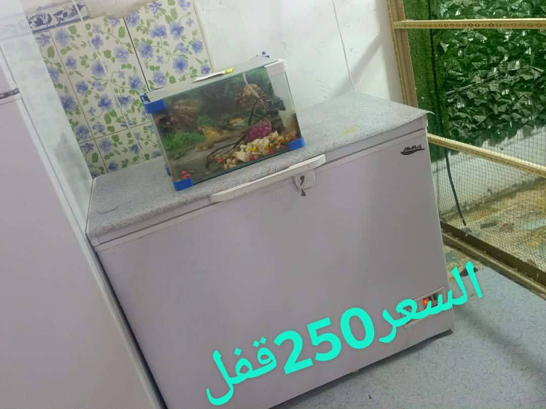 السلام عليكم أغراض بيت اللبيع غرفة اخشاب كاملة نهروان شارع الشمري


**إذا كنت صاحب هذا الإعلان وتريد حذفه لأي سبب، رجاءا أرسل رسالة إلى الدعم الفني**