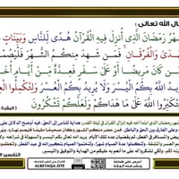 نقل موظفين • سبع البور - مدينة الطب • سيارة خصوصي