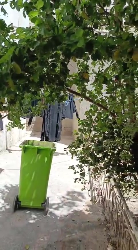 الدار اللبيع مساحته 560مترالعزه القديمه شارع الفوج استفسار ***********
