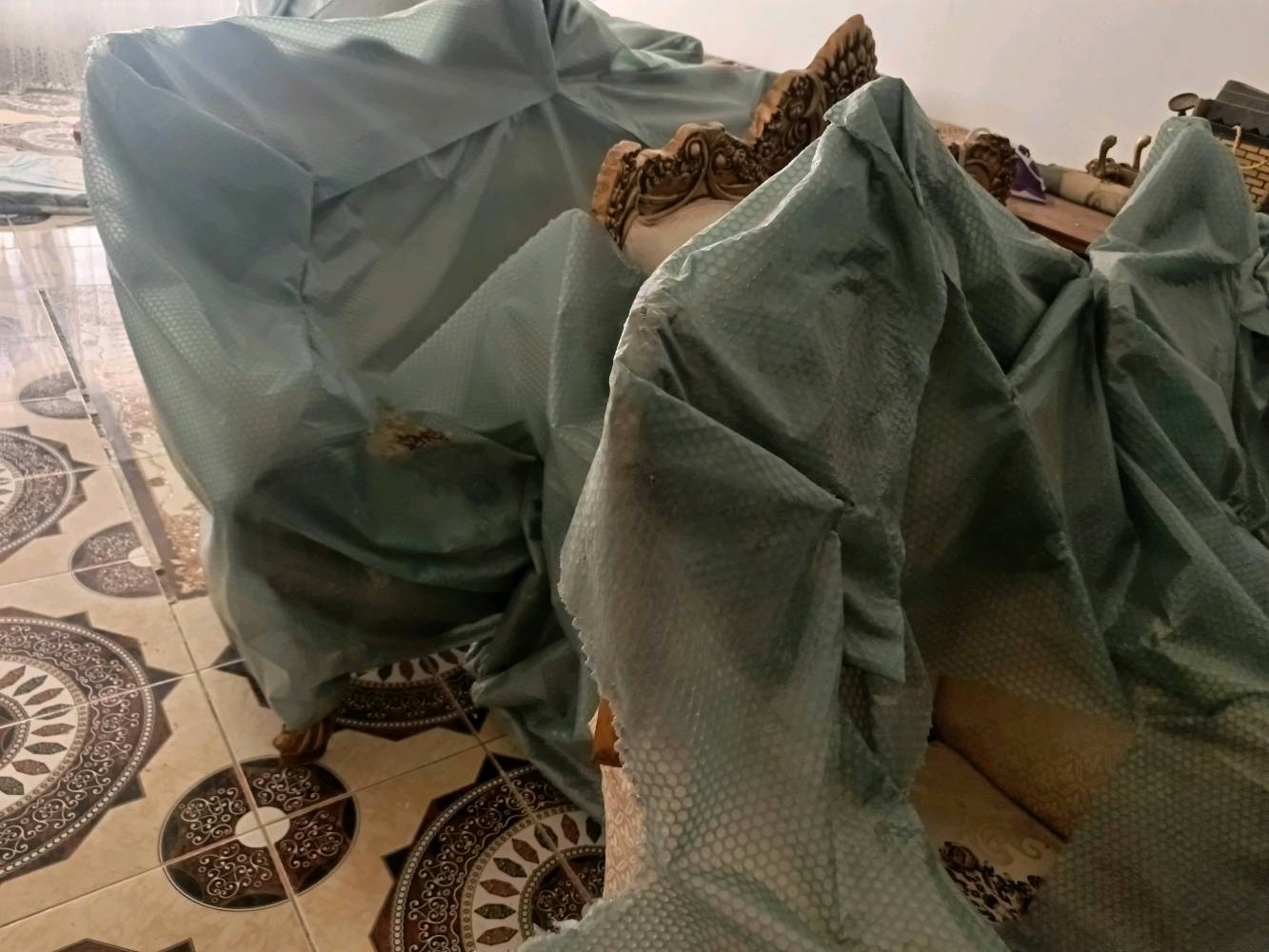 تخم ملكي للبيع غير مستخدم سعره 850الف