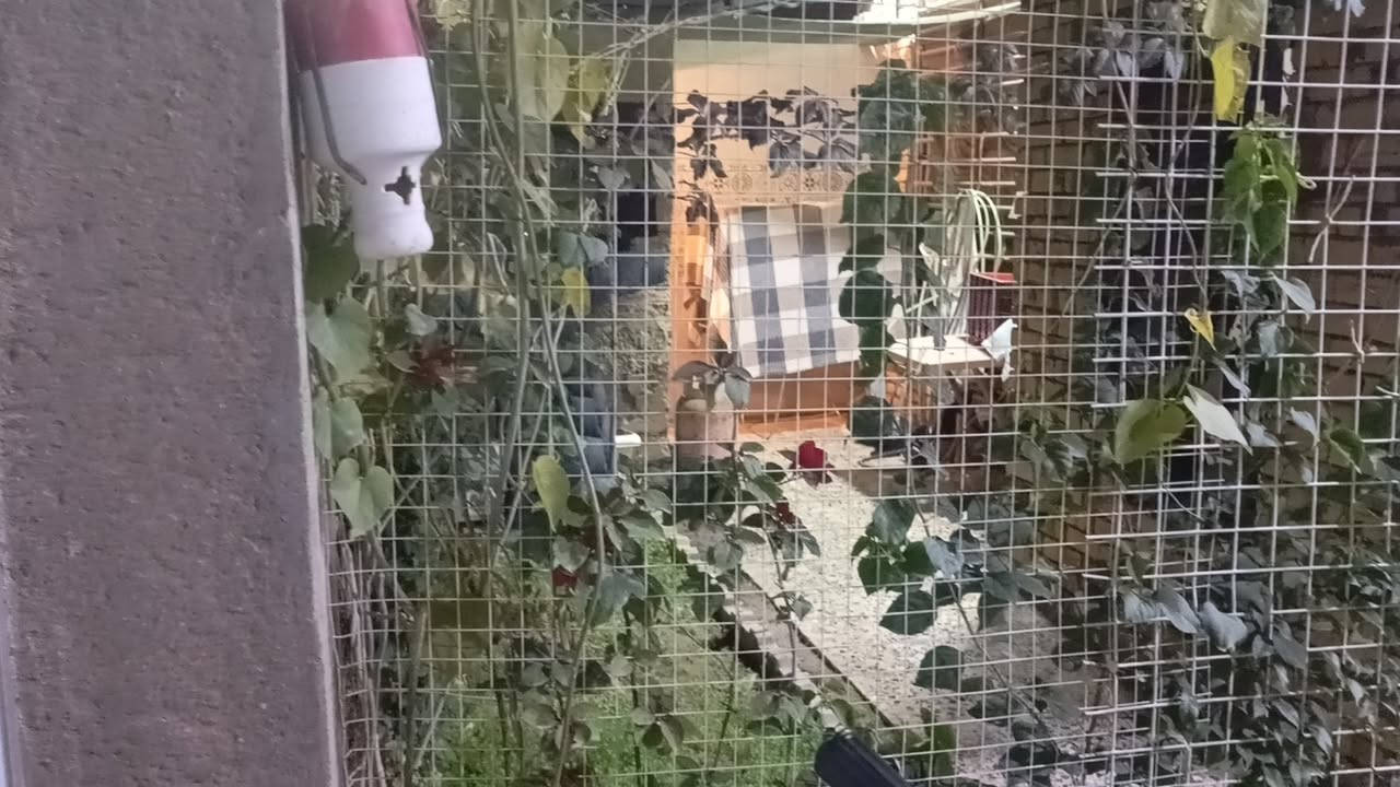 دار سكن طابو زراعي للبيع مساحه 200متر غرفتين نوم وهول ومطبخ وستقبال صحيات داخلية  بيت ركن على شارع رئيسي مرقم من قبل البلديه للاستفسار الاتصال على الرقم التالية ***********/***********
