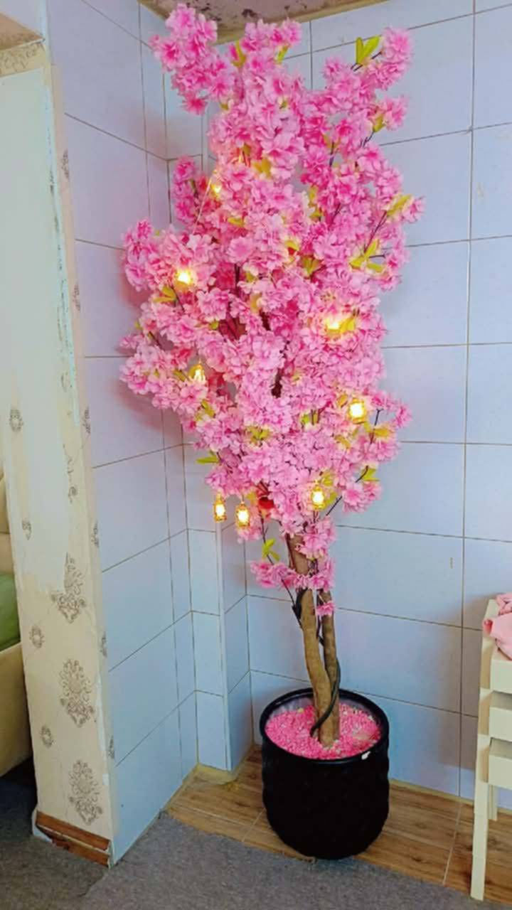 لە سلێمانی


**إذا كنت صاحب هذا الإعلان وتريد حذفه لأي سبب، رجاءا أرسل رسالة إلى الدعم الفني**