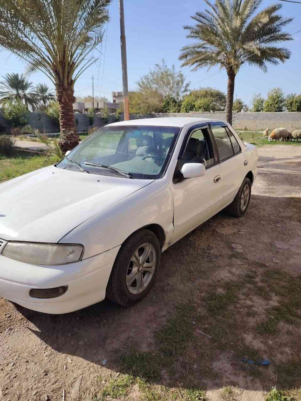 السلام عليكم للبيع سيفيا موديل 96 بغداد مشروع وطني كير ومحرك شرط صددر امامي خلفي تخم تاير كهربائيات كوله شغاله مكفوله كفاله من الضربه مصبوغه حزام للجماليه فقط السعر 33 للتصال عل رقم *********** مكان بلد ناحيه يثرب
