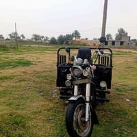 ستوته • ٢٠١٧ • مكفوله