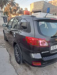 سنتافية • ٢٠١١ • مصبوغة