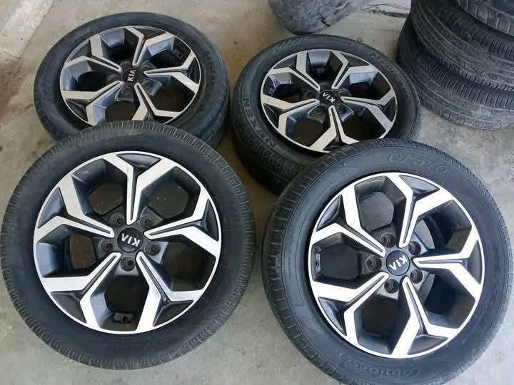 تخم ويل كب فورتي سيراتو اصلي شركة حجم ١٦ بيع أو مراوس العنوان بغداد الشعلة ***********
