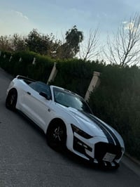 موستانغ • ٢٠١٥ • ٨١ الف