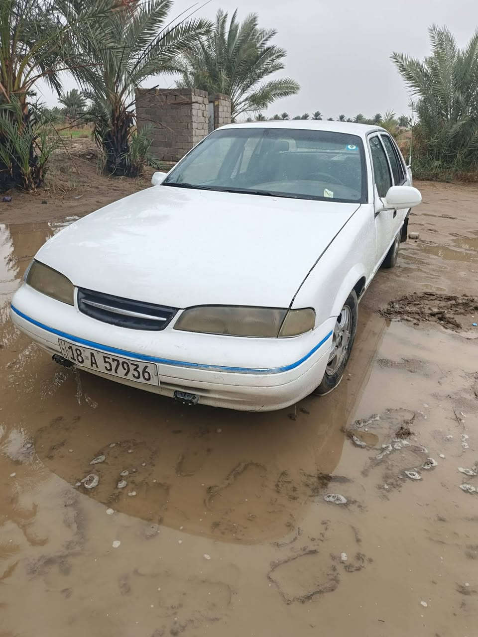 سلام عليكم 
برنس فراشه رقم بابل انكليزي مكينه كير حداديه مكفولات مصبوغه عام مكفوله من الضربه 
السعر 27
مكان بابل شوملي
***********
***********
