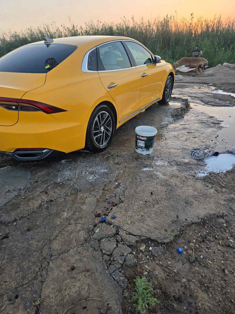 سلام عليكم ازيره موديل 23     غاز فقط رقم واسط نكليزي. كفاله عامه حداديه. تخم تاير. تبريد ثلج لايت زنون مصفره هيه ومرور موصفات معروفه مايحتاج اذكرهن سياره جديده بمعنه. الكلمه. لبيع. ترهم مراوس عادي معه الفرق ؟مكان السياره كوت؟   رقم تليفوني *********** بيه واتساب وشراي بيه خير ويدلل
مكلف بل نشر
