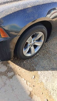 SXT • ١٧ انش • ديوانية