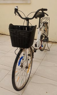 باسكي • مقاس 26 • سلمان باك