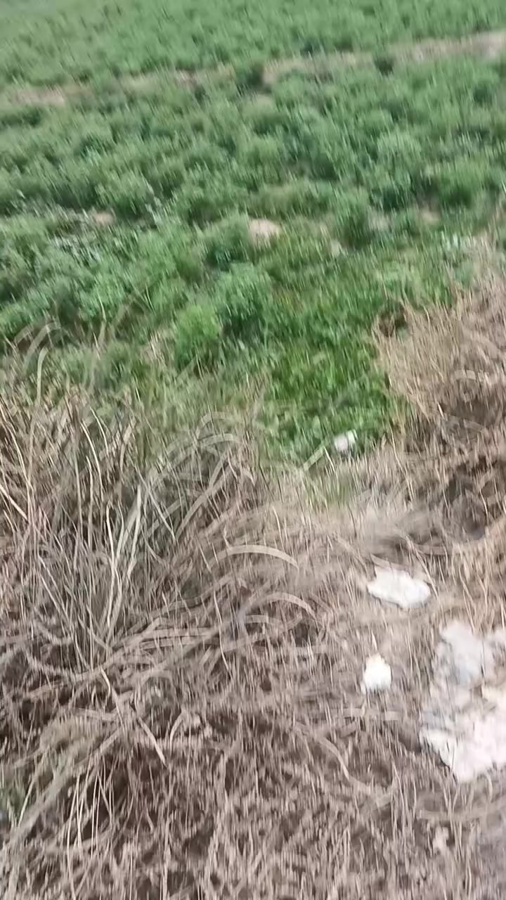 للأستفسار أكثر 
***********
***********
تابع الصفحه ليصلك كل ما هوه جديد
