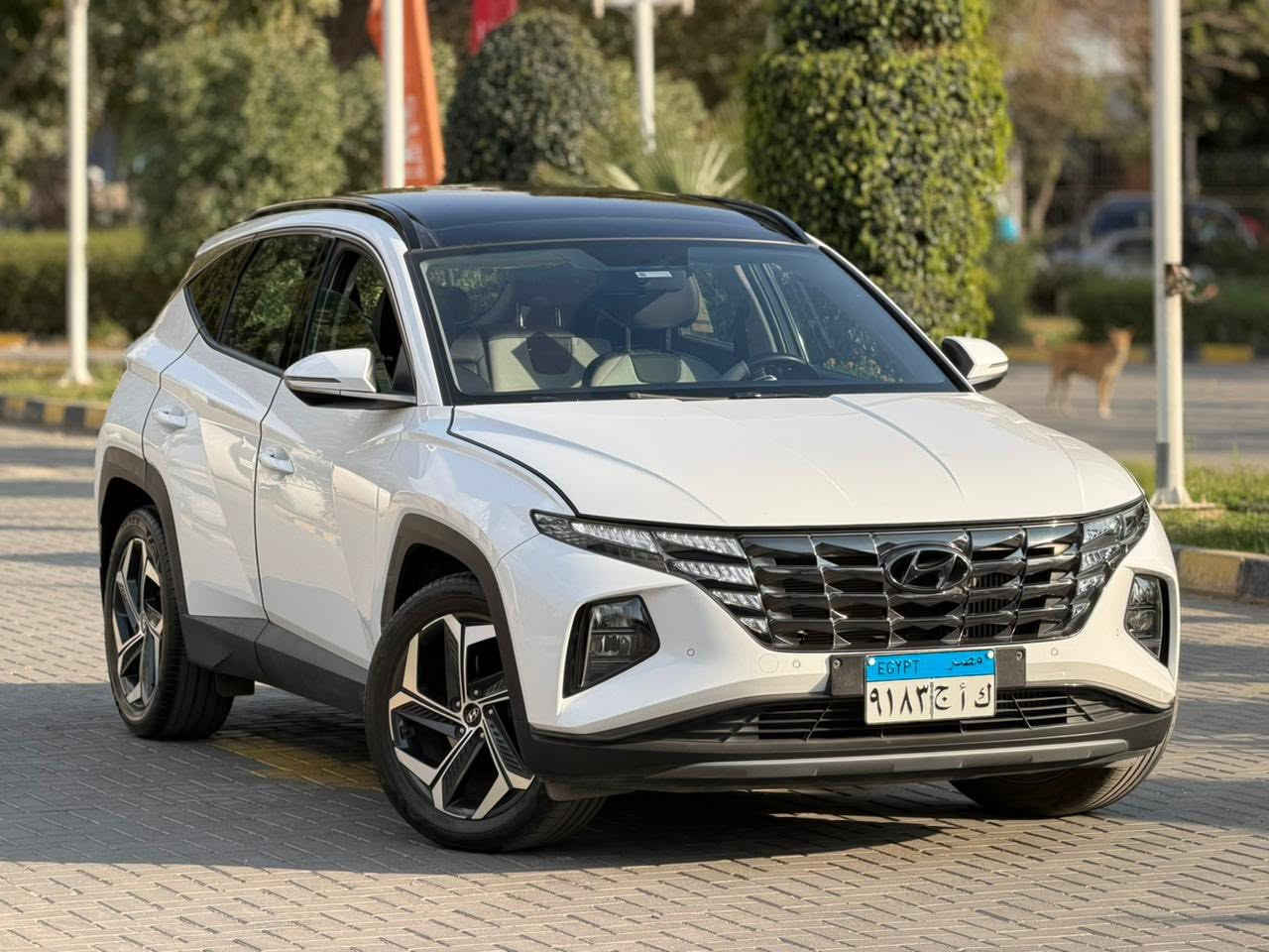 توسان 
2023
الفئة التالتة 
عداد ٢٠ الف 
صيانات توكيل 
فبريكة بالكامل 
رخصة سنة 
متاح فحص العربيه في أي مكان
‎متاح تقسيط بنكي وشركات
‎🚗 للمعاينه 📍مصر الجديده
‎📞01020025669:للتواصل
للتواصل واتسابhttps://wa.me/201020025669


**إذا كنت صاحب هذا الإعلان وتريد حذفه لأي سبب، رجاءا أرسل رسالة إلى الدعم الفني**