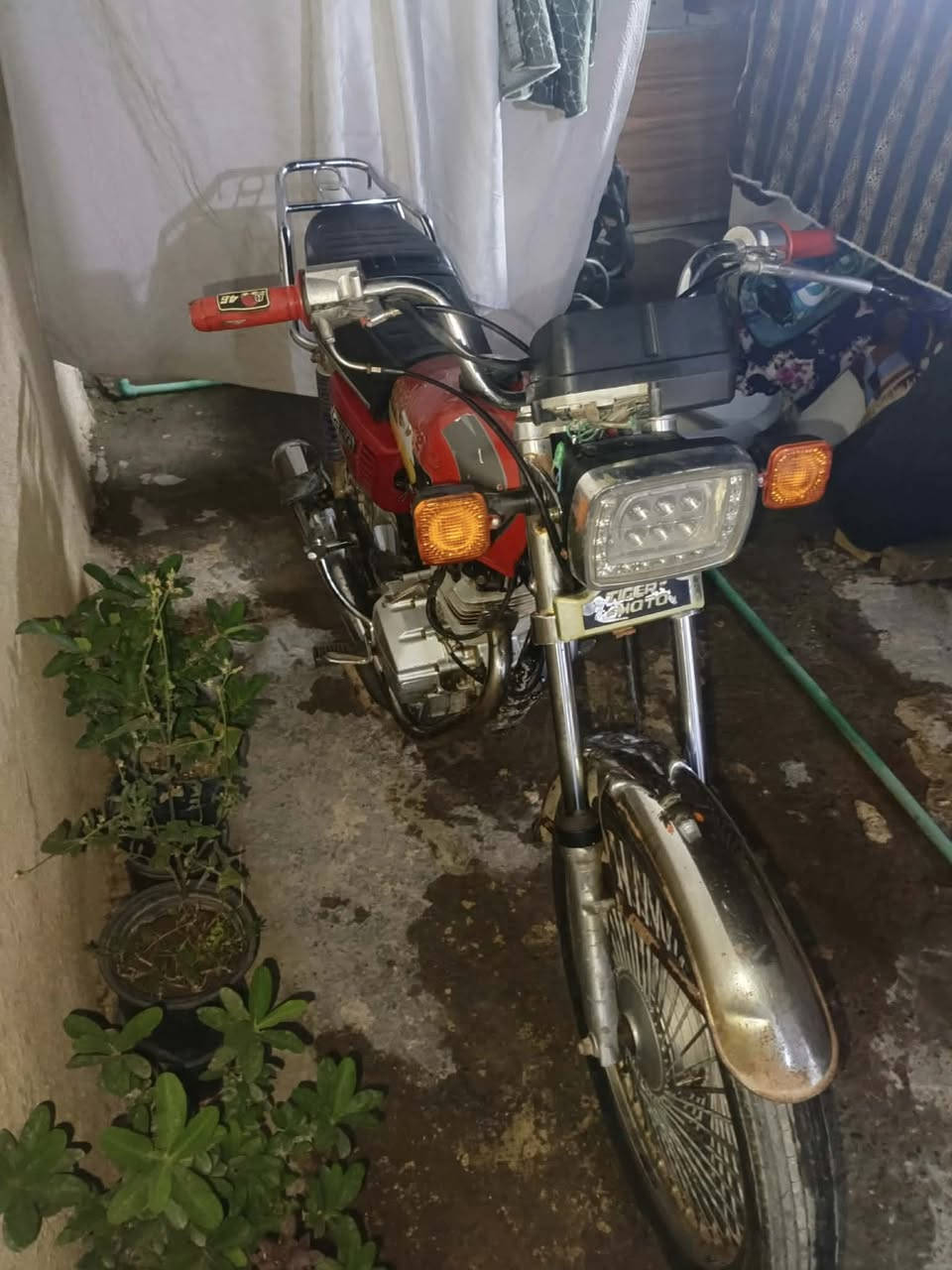 دراجة نامة لبيع 400 وبيهة مجال متواجد خاص


**إذا كنت صاحب هذا الإعلان وتريد حذفه لأي سبب، رجاءا أرسل رسالة إلى الدعم الفني**