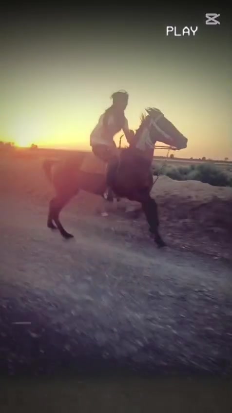 سلام عليكم فرس عشار للبيع حمدانيه سمري مكان ميسان قضاى على الغربي تصال عل رقم ***********
