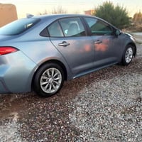 كورلا • ٢٠٢١ • ضرر نص باب