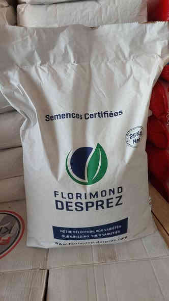 السلام عليكم اخوان الفلاحين والمزارعين #توضيح 
الاصناف الي متوفر في مكتبنا 
#عربيه
#بيزانزو 
#وفيه
#ألبا
#انتيلو 
#ثريا بنت الكيس شرط 
#وفيه بنت الكيس شرط 
#ألبا بنت الكيس شرط 
والي تريدونه احنه بالخدمه وأسعار مناسبه ان شاءالله فقط اتصل وتدلل 
او راسل الصفحه ليصلك كل ما هو جديد  
#تابعونا 
#الرافدين_للزراعة_الحديثة
العنوان كركوك طوبزاوه قرب مول الأخوين 
***********
***********
