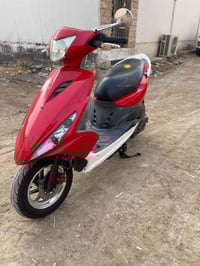 ماكس ثعلب • مكفولة • ختم واحد