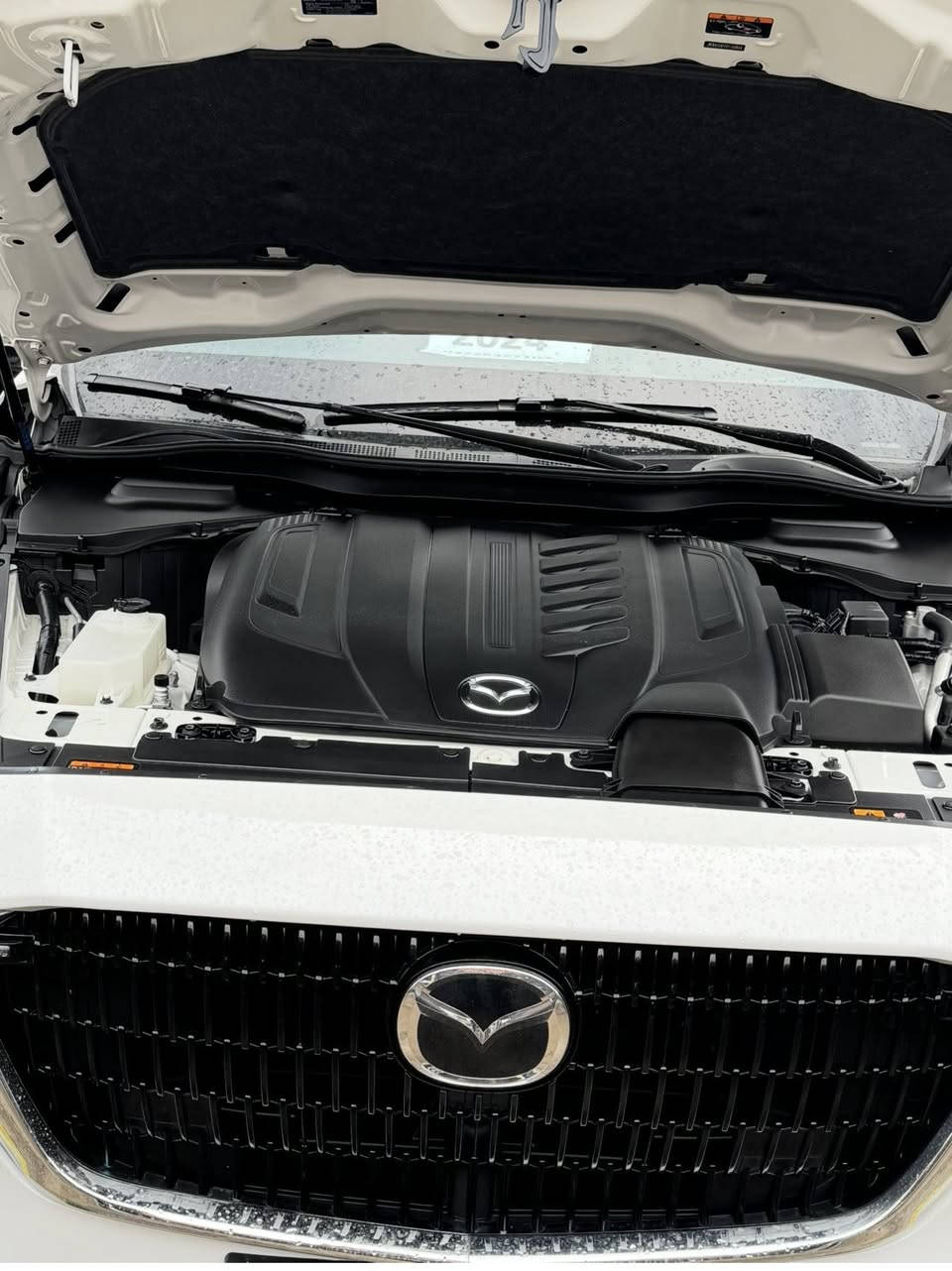 2024 MAZDA CX-90, PREFERRED PLUS
پێش و دووا کەپس
بێ ئیرباک
تەنها یەک پەلە بۆیاخی هەیە 
بای ٢٣٥$

JM3KKCHD1R1160866

***********
