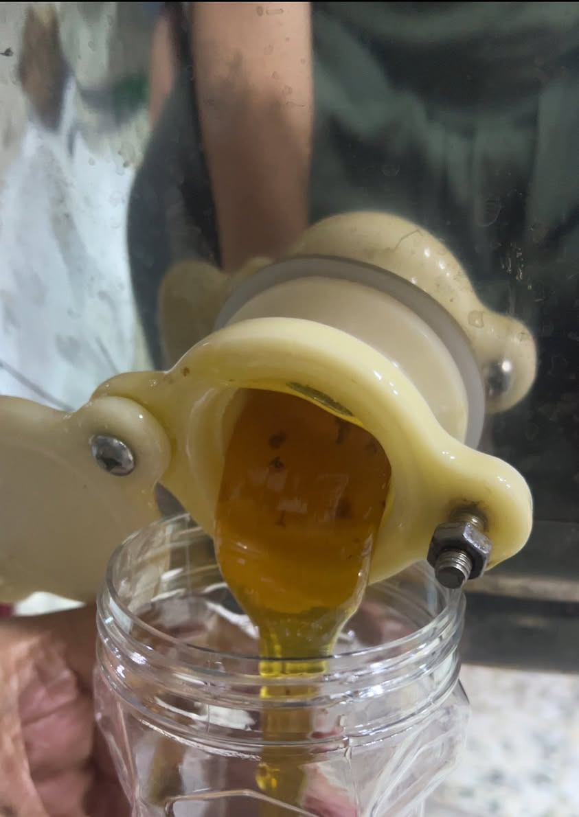 🍯 عسل طبيعي أصلي 100% 🍯

نوفر لكم عسل طبيعي نقي بجودة ممتازة وطعم أصيل.

✅ سعر الكيلو (مفرد): 35 ألف دينار
✅ سعر الكيلو (جملة): 30 ألف دينار

للطلب والاستفسار الاتصال على الرقم ***********
