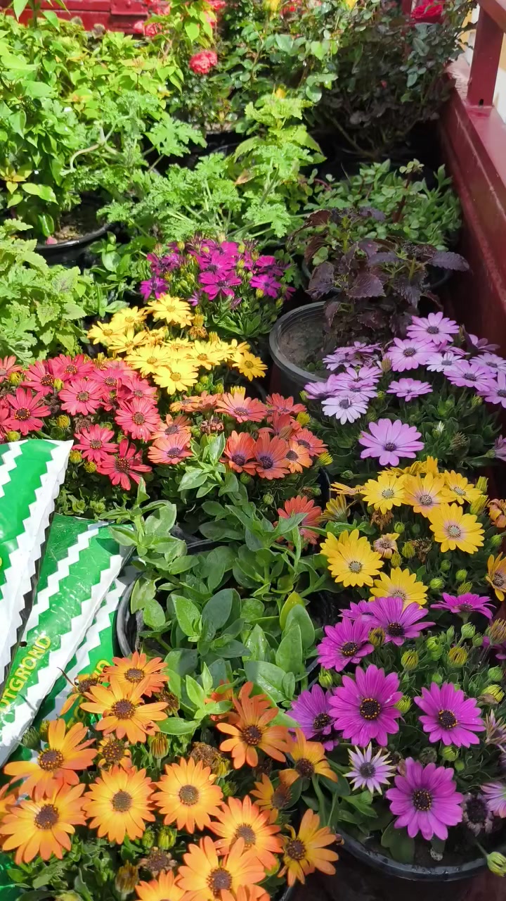 توصيل لباب بيتك جمله مفرد ❤
***********
