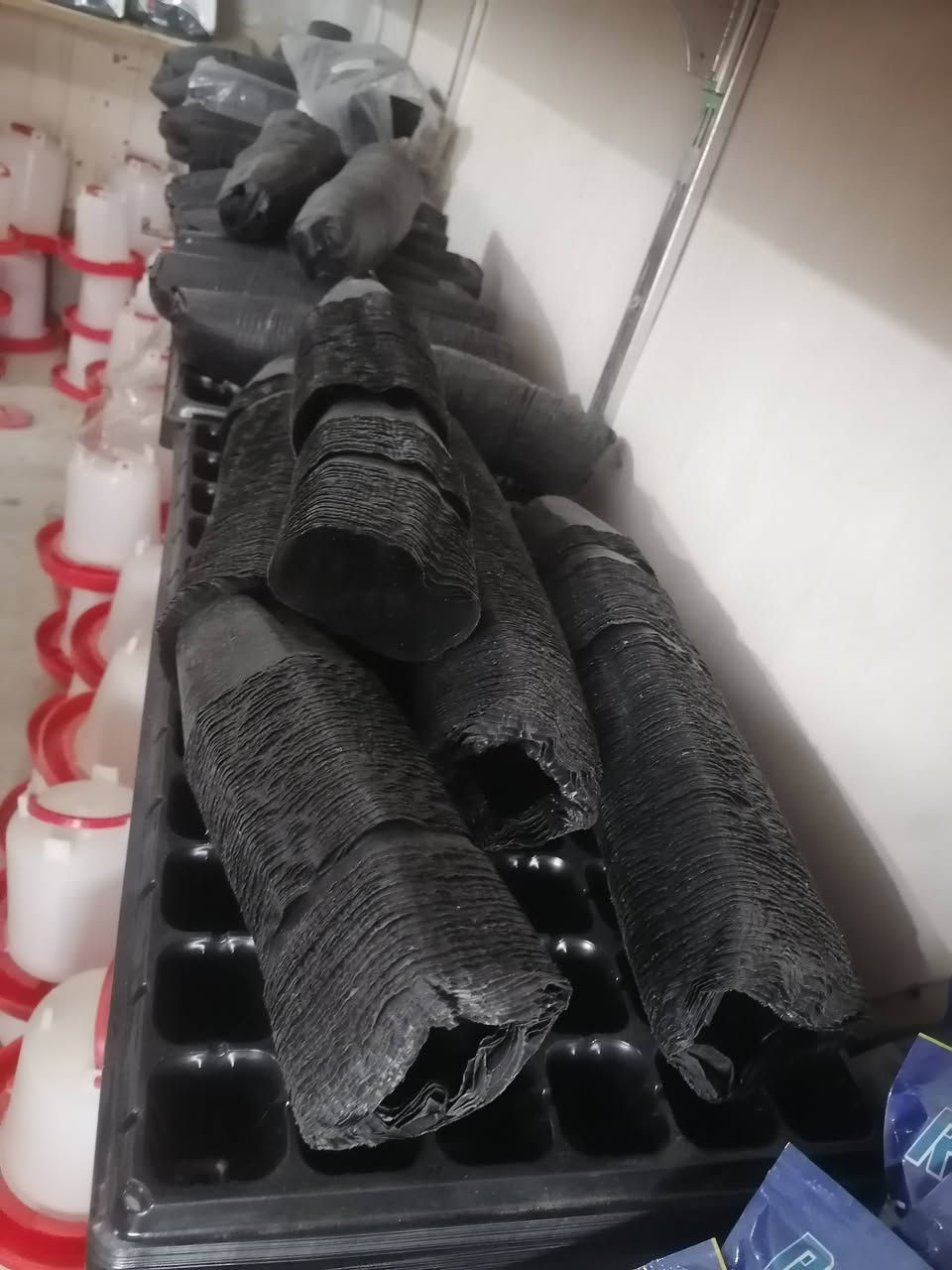 متوفر أقراص شتول زراعية

متوفر اطباق شتول

كافه الأحجام والقياسات

جمله ومفرد
الجدعه الشارع العام مقابل اقمشه رزان ومطحنه وميزان الخيرات ***********

مكتب الصوافي للخدمات الزراعية والبذور
