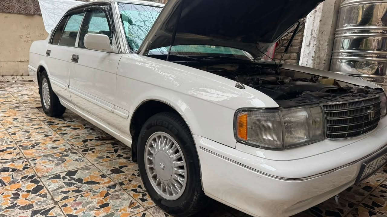 السلام عليكم ارنب 92يسرة بلاد مصبوغة عام معروضة 65متواجد واتساب ‭***********‬
