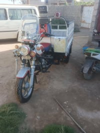 ستوته • موديل 15 • ديالى شهربان