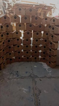 بيوت طيور حب • ٤٠ قطعة • كوت الحاوي