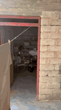 السلام عليكم بيت للبيع  الموقع الجميلة الطوب مساحة الارض 1000متر مساحة البناء 280 متر مجاور محمد العباس ابو حاضر وأحمد الفندي وعبد الأعوج 
وأياد الفدعير 
يتكون من ربعة 7#4 مع مجمع صحيات 
3غرف نوم كل غرفة 4#5
موزع كبير 
استقبال 4#5
مطبخ حار وبارد
مجمع داخلي
مخزن خلف البيت 
محل امام البيت
للاستفسار هاتف
زين ***********
اسيا ***********
