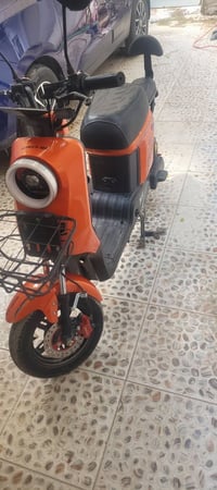 فورزه • بعقوبة ديالى