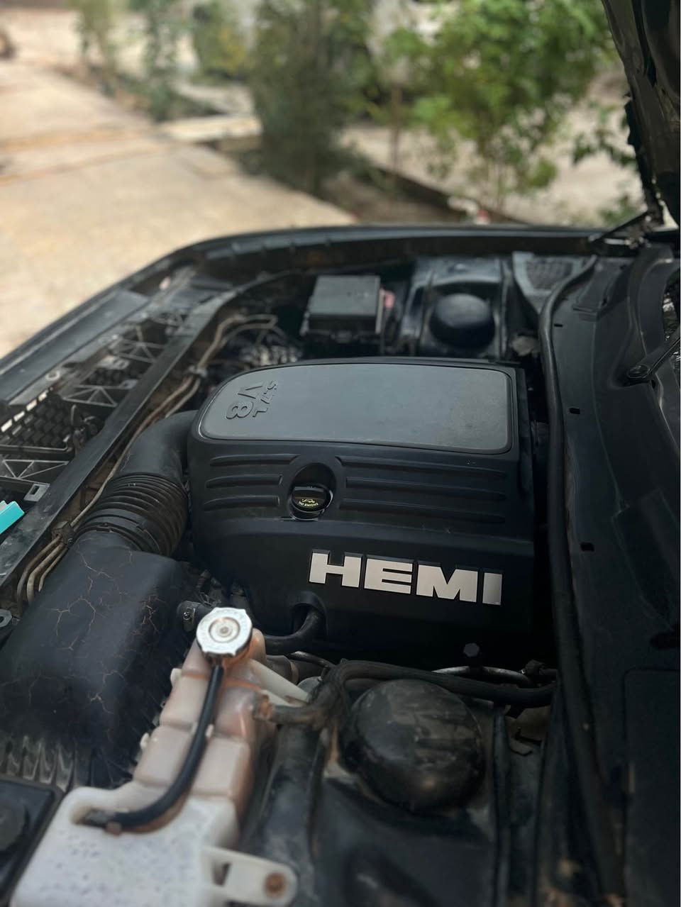 دوج جالنجر  RT  هيمي 5.7 .
مديل 10 ومحدثة 23 امامي وخلفي وتحديث مال srt  لحاية وسبايدر ودفيوزر كلهن مال srt .
السيارة تقريرها سرقة وداخلة كلين بدون ضرر . السيارة جان عليها وشم وشلتة ف بقة الاثر مالتة اخذتها لبو اختصاص رشها كلير . السيارة شخط ما بيها 
رقم بغداد دولي بأسم صديقي 
علية برمجة بانزين عادي ومراوح وكت اوف
اكسل srt
ويل 18 اصلي .
السيارة استخدام شخصي مو استعراض .
عليها بلكات ريسنك وفيول بم ريسنك ونوزلات ريسنك .
وتحديث كامل مال srt 
بنيد 3 فتحات 
كشنات جلد 
مكاني البصرة قضاء المدينة البصرة, العراق


**إذا كنت صاحب هذا الإعلان وتريد حذفه لأي سبب، رجاءا أرسل رسالة إلى الدعم الفني**