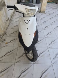 سلف • هندر • شغال