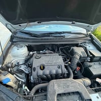 النترا • ٢٠١٠ • رانية