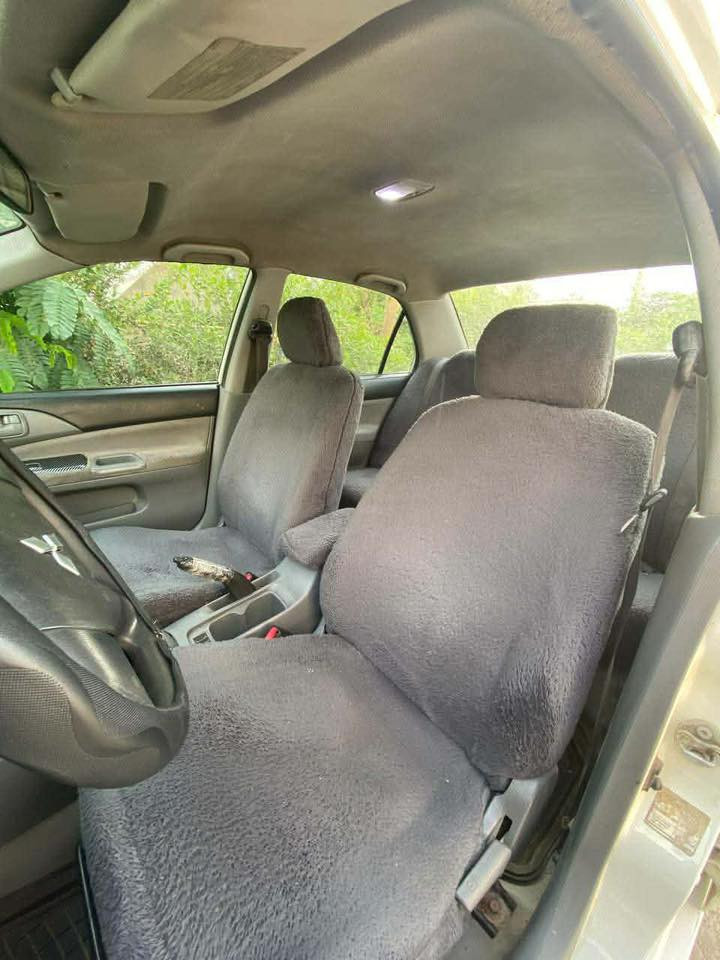 لانسةر سةنةوي پلاستيك 2011 مةكينة گةورة
دةبل و دسك و تايةي تازة گوراوة

56 معاملة
***********
