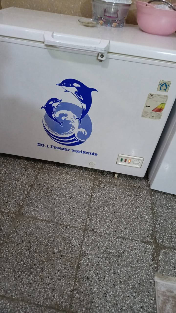 السلام عليكم عندي ثلاجه ومجمده للبيع


**إذا كنت صاحب هذا الإعلان وتريد حذفه لأي سبب، رجاءا أرسل رسالة إلى الدعم الفني**