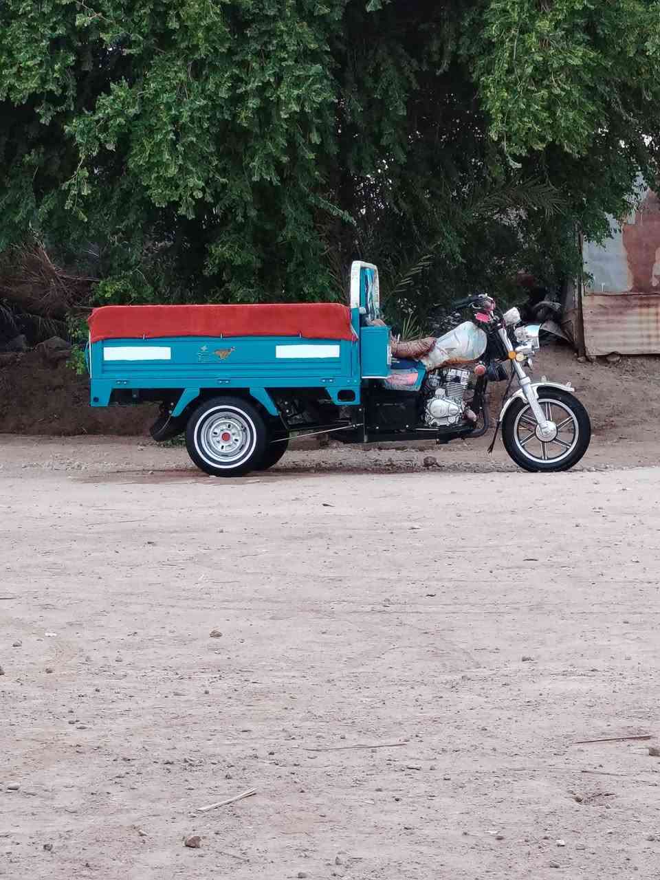 سلام عليكم للبيع جمره 23 كفااه عامة رقم وسنويه ../
المكان ناصريه / سيددخيل 
للستفسار / ***********
