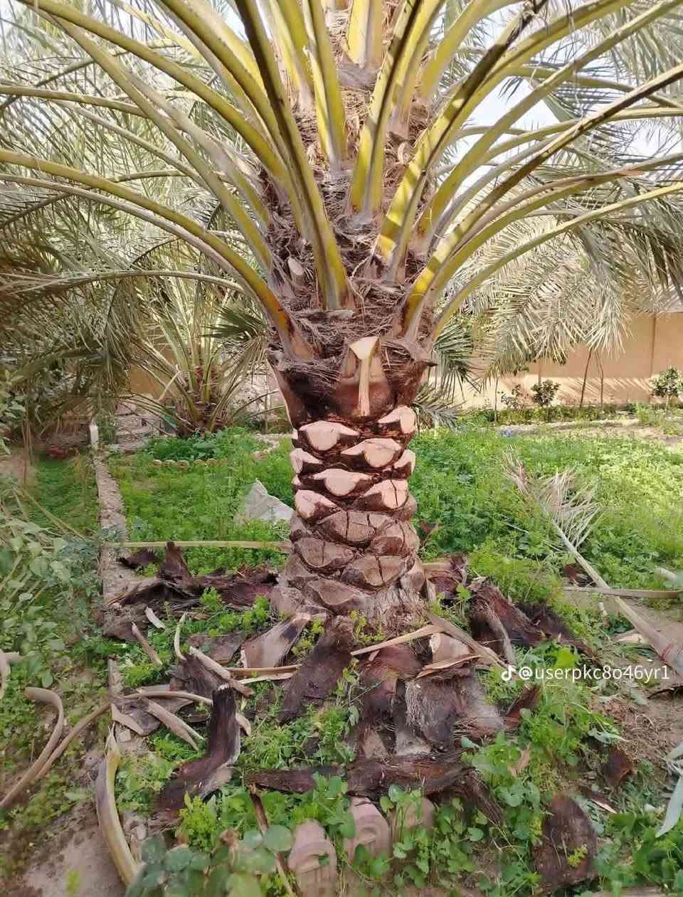 يوجد كادر تنظيف ***********
