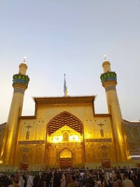 حملة انوار الهدى • زيارة العتبات • النجف الاشرف