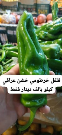 خانقين • فواكه وخضروات • توصيل للبيت