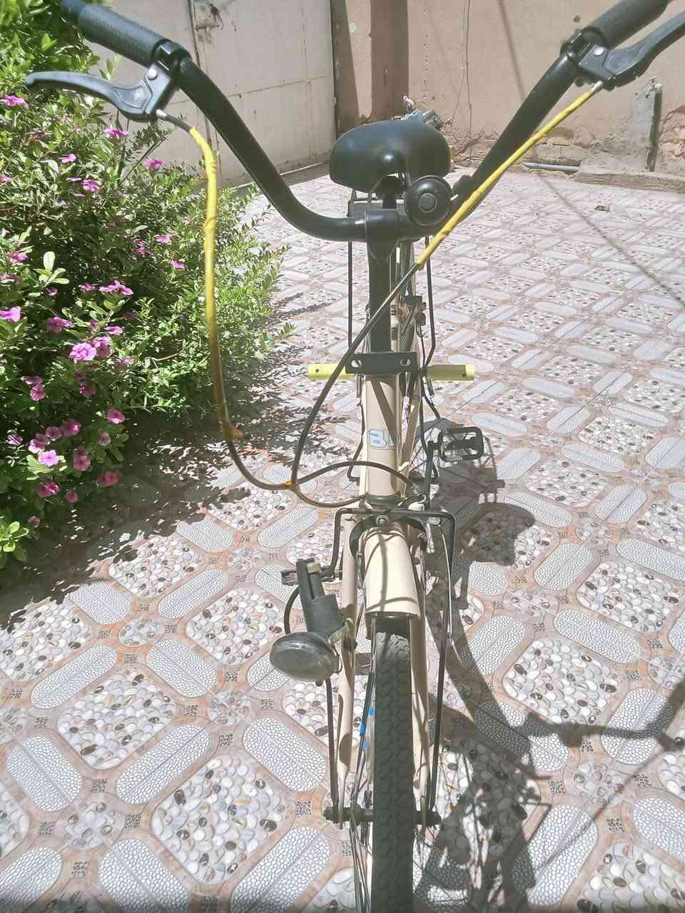 السلام عليكم بايسكل للبيع بيدي حاويه السعر خاص المكان كوت خاجيه


**إذا كنت صاحب هذا الإعلان وتريد حذفه لأي سبب، رجاءا أرسل رسالة إلى الدعم الفني**