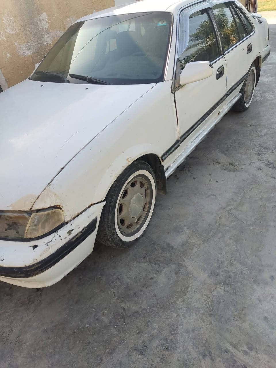 السلام عليكم 
برنس البيع 93
السنويه28
السعر 40وبيه مجال


**إذا كنت صاحب هذا الإعلان وتريد حذفه لأي سبب، رجاءا أرسل رسالة إلى الدعم الفني**