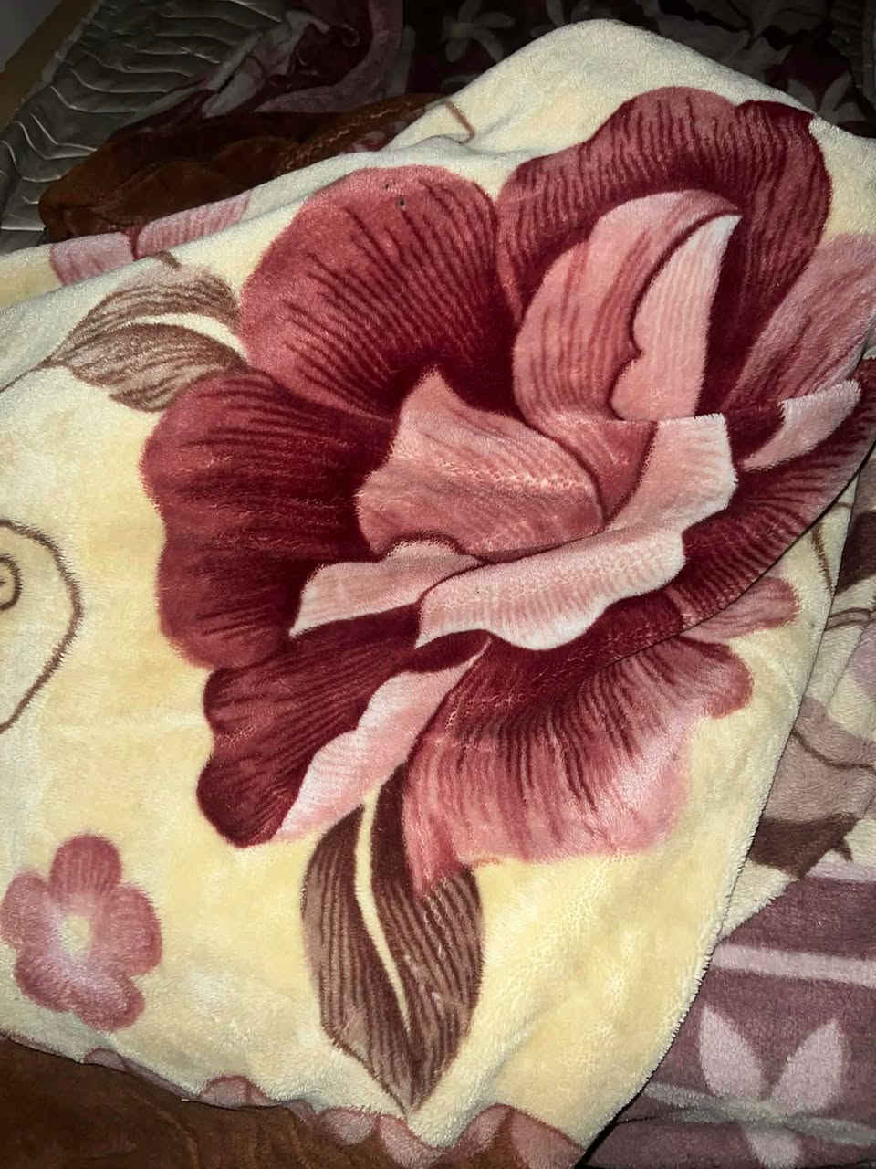 اربیل کل للبیع ب سحر مناسب 
هەموی بۆ فرۆشتن بە نرخی گونجاو أربيل, العراق


**إذا كنت صاحب هذا الإعلان وتريد حذفه لأي سبب، رجاءا أرسل رسالة إلى الدعم الفني**