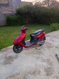 دراجة فراشة • بابل أبي غرق