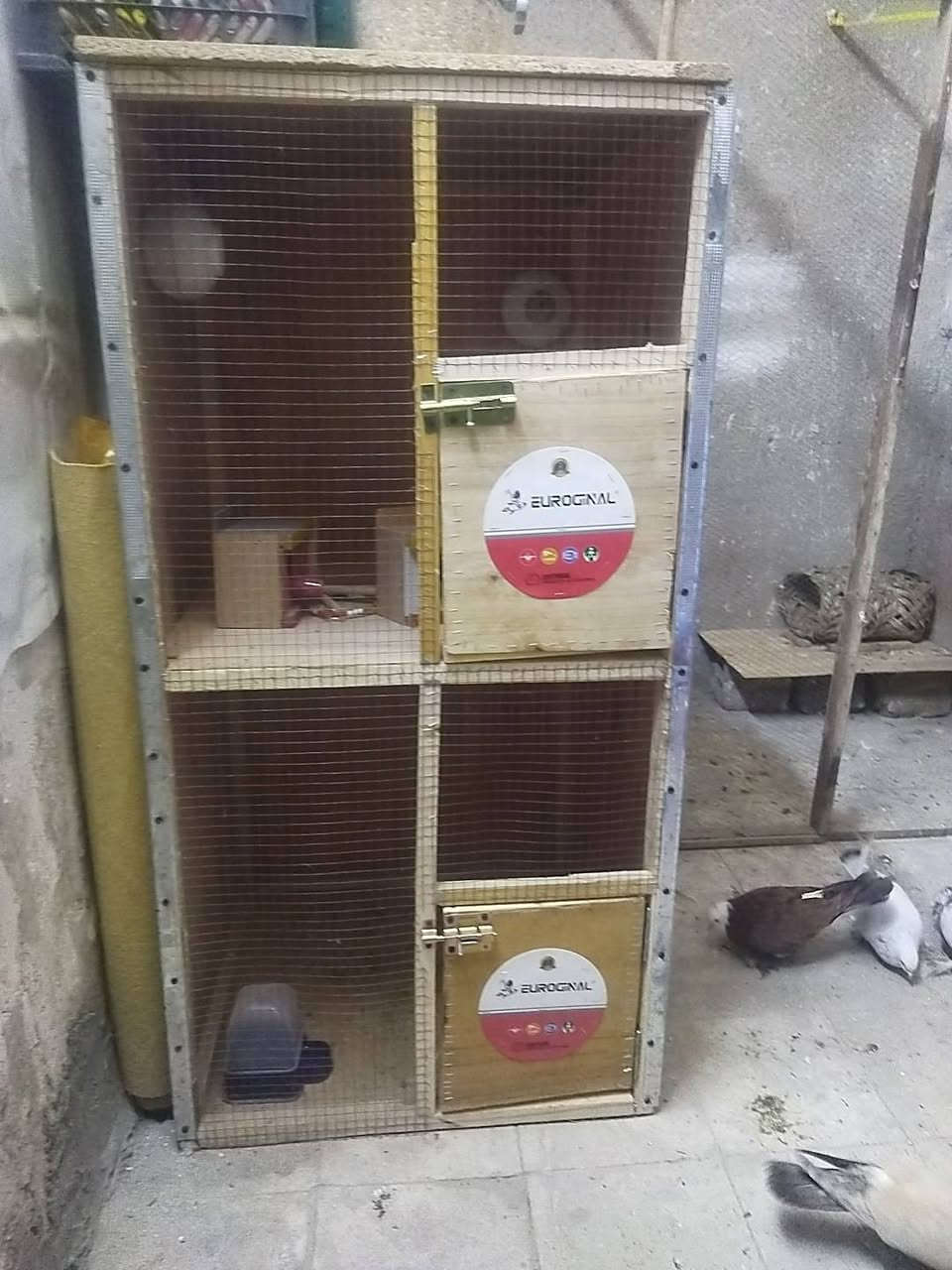 اسلام عليكم قفص للبيع خانتين نضيف🐦 وغراض ويا المكان 🦜المسيب حي الميثاق السعر40الف الاتصال🕊️ ***********🔨🔨🪚
