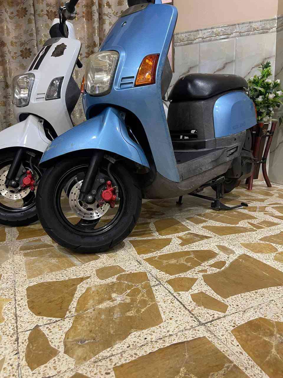 بلاءالسلام عليكم  السمائيه فقط البيضه نباعت الدراجه كفاله عامه رمبه الدراجه للبيع مكاني كربلاء


**إذا كنت صاحب هذا الإعلان وتريد حذفه لأي سبب، رجاءا أرسل رسالة إلى الدعم الفني**