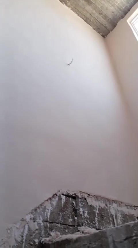 شقل جص درجه اوله   والبخ طرگ مالج 2250 يعني الفين وربع والرزق عله الله وهاذه رقمي ***********جص وسمنت ملاحضه المصاطر3500المتر
