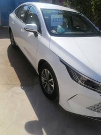 بصرة • ٢٠٢٥ • مشي ٥١٣٠٠٠