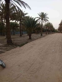 بلرشديه • ٥٠٠م • قطعة أرض